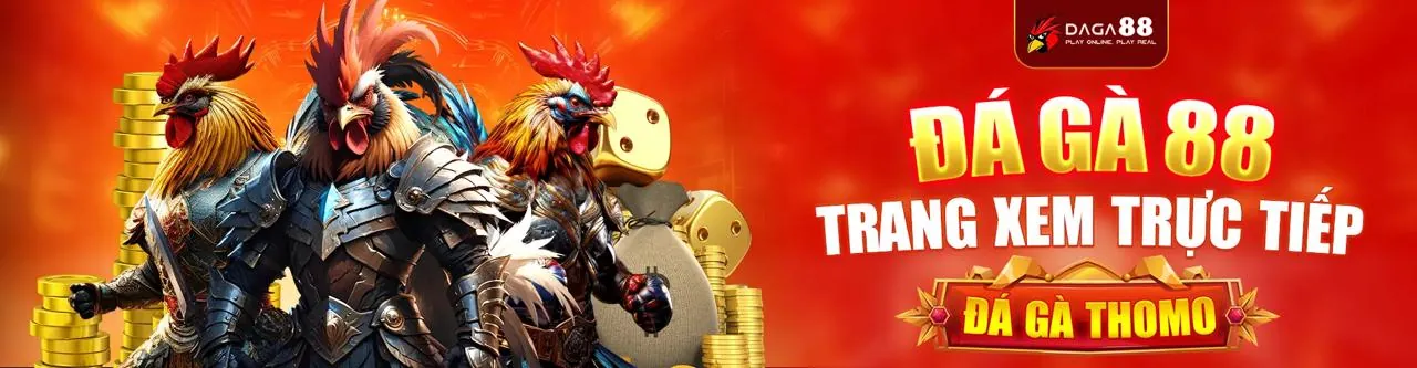 Sân đấu đá gà trực tuyến sôi động tại Jilibet nhà cái