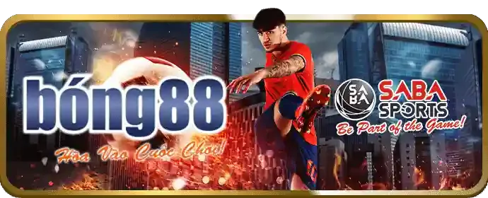 Hoàn trả cao hơn jilibet nhà cái